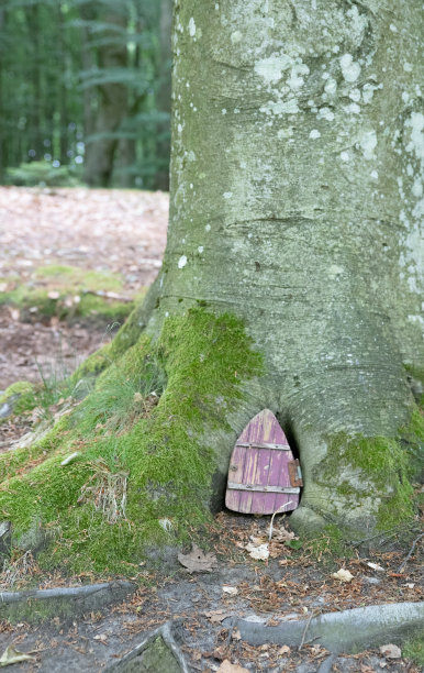 丹麦森林里美丽的小精灵门图片下载