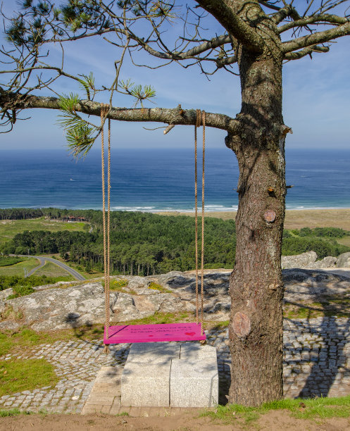 有秋千的树图片下载