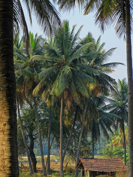 自然风光图片下载