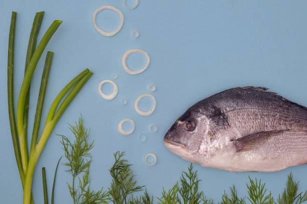 鲷鱼畅游：水下洋葱圈气泡图片下载