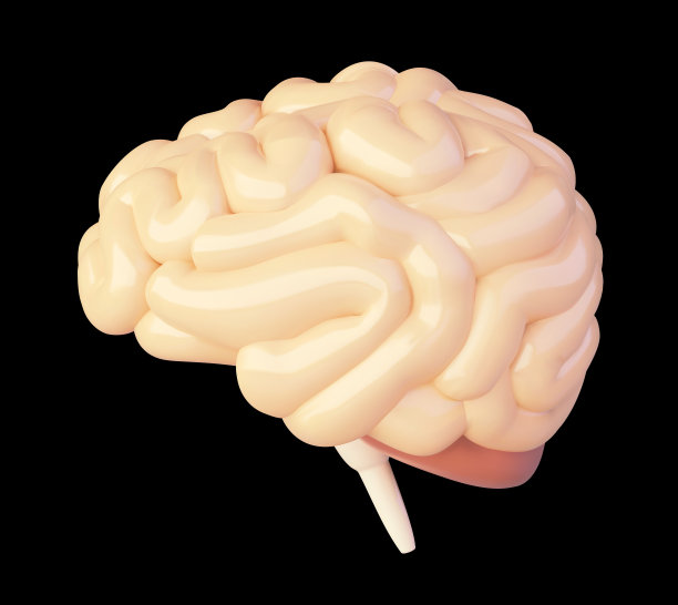 矢量脑图标图片下载