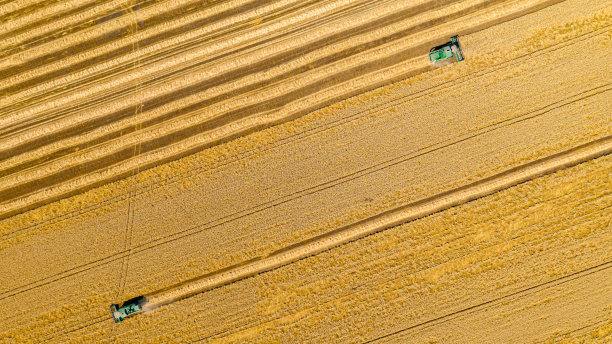 鸟瞰图上的联合收割机，收获成熟的谷物图片下载