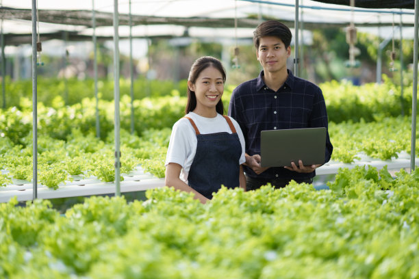 现代水培农场概念。年轻的成年农民一起在绿色沙拉农场用笔记本电脑收集数据。图片下载