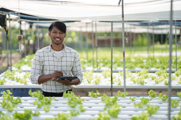 年轻的亚洲男子在水培农场检查新鲜沙拉的肖像。站在绿色蔬菜水培农场。图片下载
