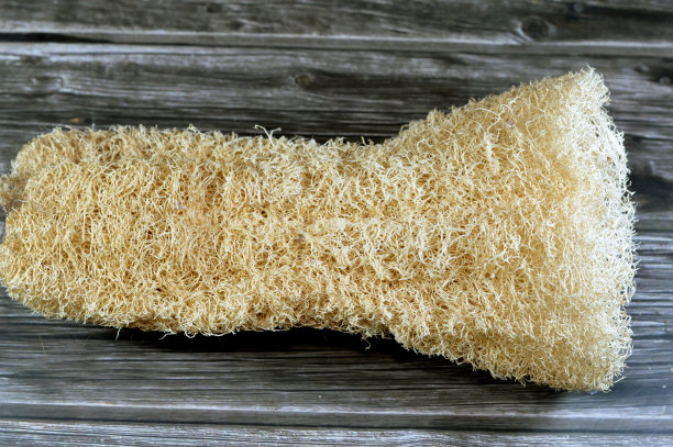 浴室丝瓜络海绵图片下载