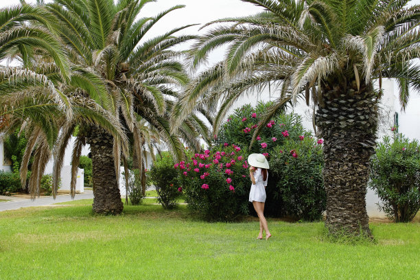 一个戴着帽子的年轻漂亮的欧洲姑娘站在棕榈树下的绿色草坪上。热带岛屿。旅游和休闲的概念图片下载