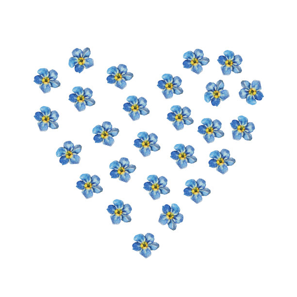 水彩花心忘我不孤于白底。春夏花贴纸或速写本和卡片。手绘剪贴画墙纸或包装。复古浪漫元素图片下载