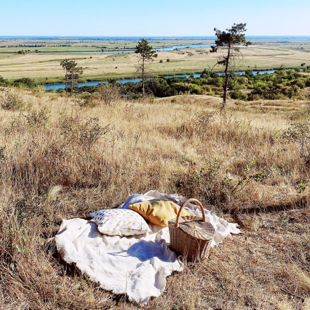 乡村夏日田野里的柳条野餐篮图片下载