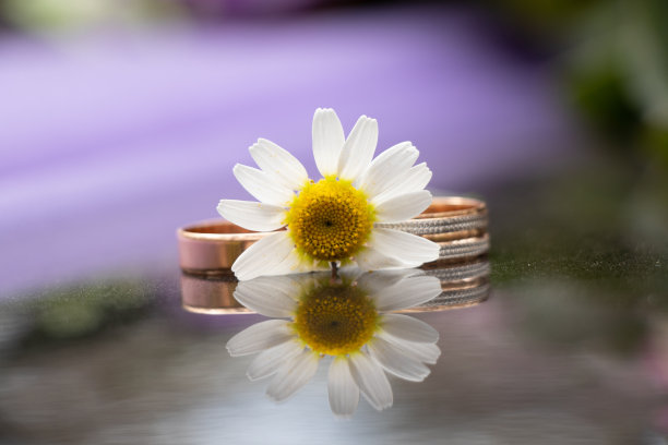 订婚金婚戒躺在一面黑暗的镜子上，在阳光下点缀着一朵洋甘菊，金戒指图片下载