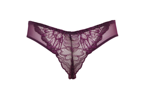 内衣。女人的酒红色蕾丝内裤孤立，在白色的背景。女人的性感内衣。图片下载