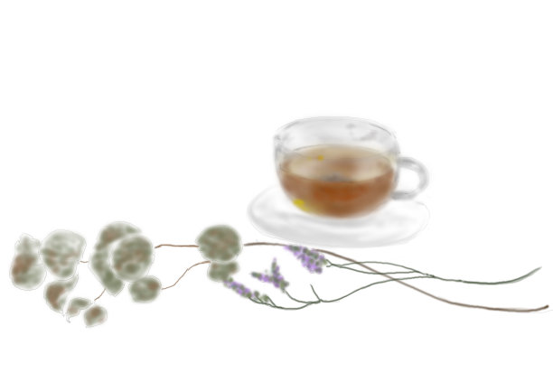 茶叶和叶类植物图片下载