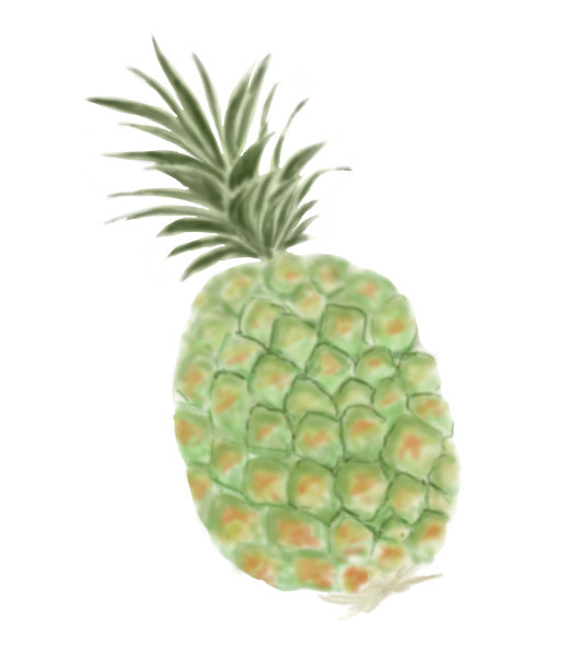 菠萝图片下载
