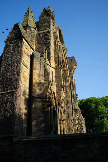 Guisborough修道院图片下载