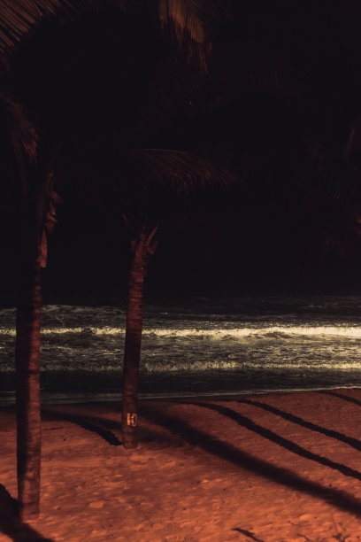 美溪海滩的夜景——越南岘港——海浪拍打海岸——椰子树在前景图片下载