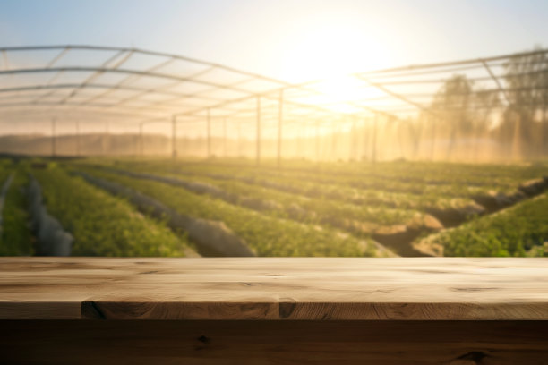 带有模糊种植园背景的空木桌图片下载