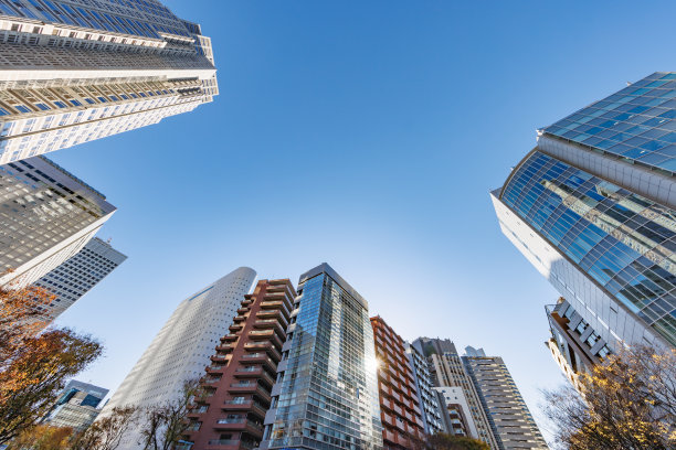 东京的建筑和秋叶的树木图片下载