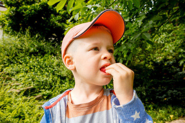 这个男孩在花园里发现并吃了浆果图片下载