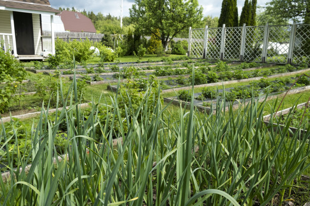 一幢乡间别墅，里面有漂亮整洁的床。图片下载