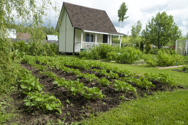 花园地块上美丽而整洁的花园床。图片下载