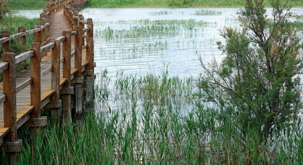 克罗地亚达尔马提亚的风景图片下载