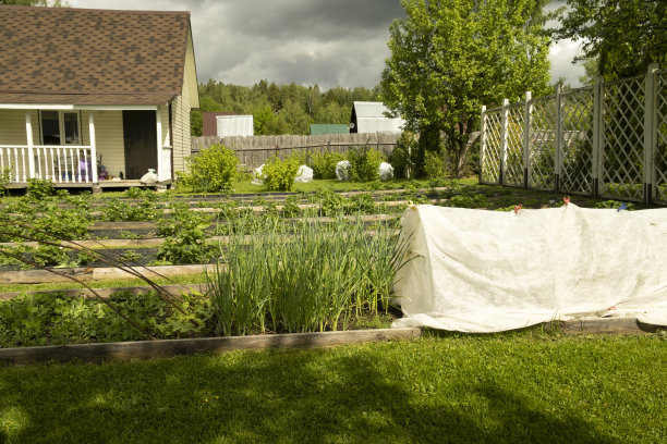 花园地块上美丽而整洁的花园床。图片下载