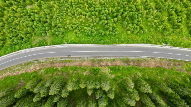 鸟瞰图，一条蜿蜒的道路穿过郁郁葱葱的松林图片下载