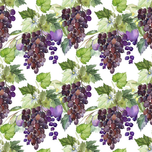 葡萄和叶子的水彩图案图片下载
