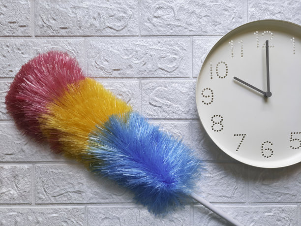 灰尘刷和手表。10点，早上好。用pipidastra快速清洁。图片下载