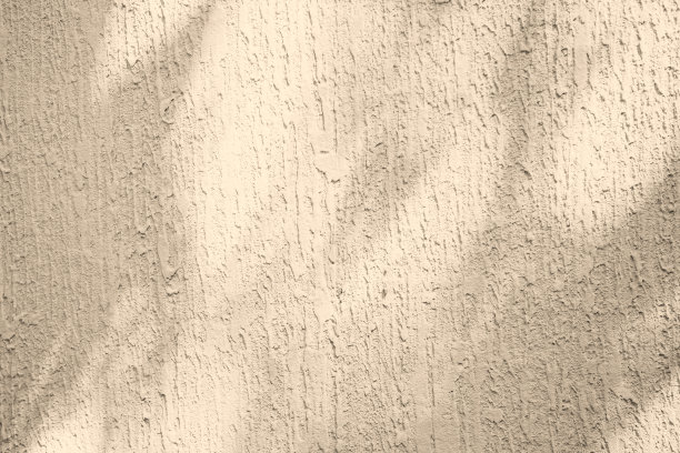 水泥背景上的阴影叶子，抽象的浅白色在墙上，覆盖在水泥混凝土背景上的植物，阳光在最小模型产品化妆品夏季美容，粉彩模板米色奶油墙图片下载