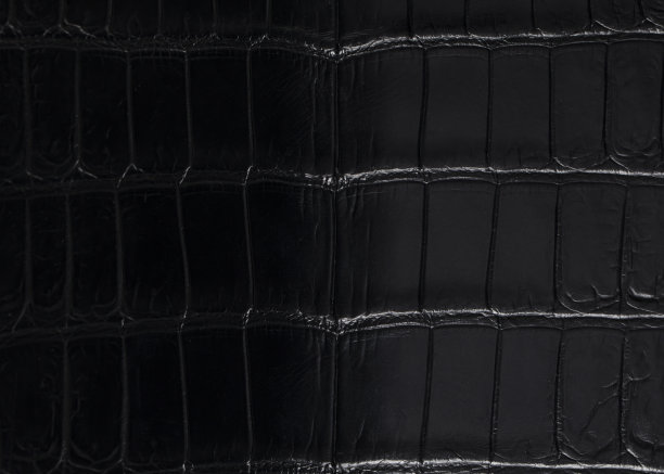 黑色昂贵的鳄鱼皮在一个梯度。昂贵的鳄鱼皮制品。图片下载