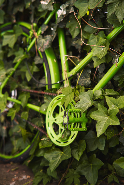 绿色的自行车图片下载