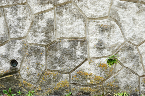 一堵用石块砌成的墙，在一个小洞里可以看到草图片下载