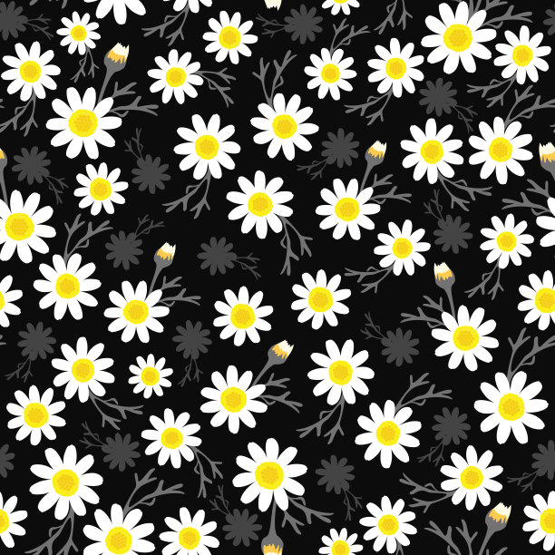 愚蠢的雏菊印花。单色雏菊花无缝图案。黑白花卉图案。图片下载