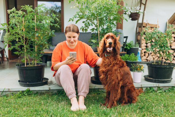 漂亮的爱尔兰塞特狗躺在草地上，旁边的女孩在玩智能手机。夏天，开朗快乐的年轻红发女人和她的狗在房子的院子里放松。全身图片下载