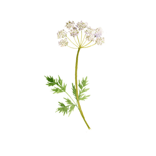 四川乡村水彩画厂图片下载