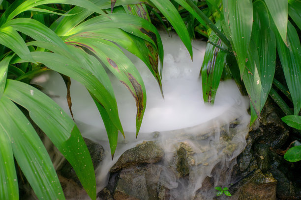 清澈碧蓝的温泉图片下载