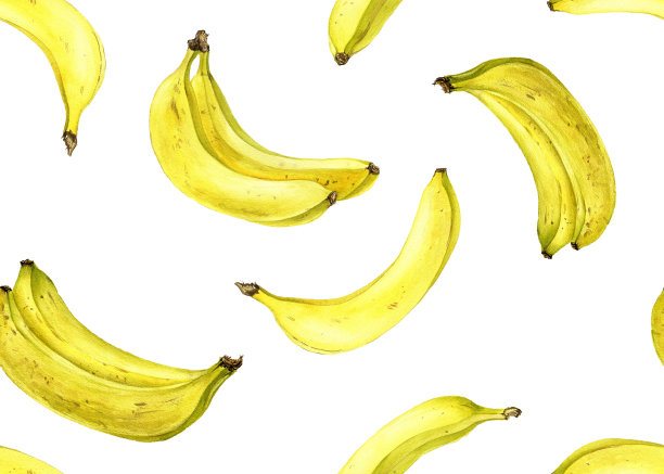 香蕉，水彩画水果在白色的背景图片下载