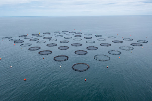 无人机拍摄的渔场鸟瞰图图片下载