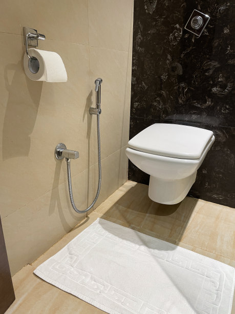 豪华酒店浴室的特写图像，墙上挂着白色陶瓷马桶，手淋浴坐浴盆头附件，白色毛巾浴垫，厕卷架上的厕卷，重点在前景图片下载