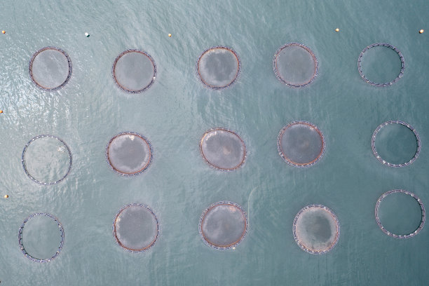 无人机拍摄的渔场鸟瞰图图片下载