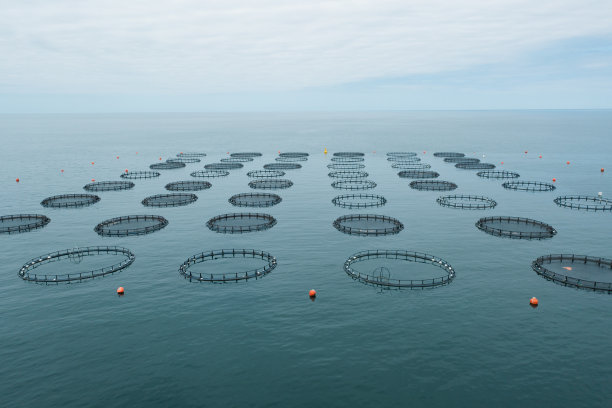 无人机拍摄的渔场鸟瞰图图片下载