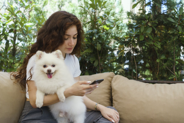 年轻女子和她的波美拉尼亚狗坐在沙发上玩智能手机图片下载