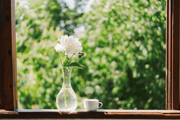 木窗上的一杯咖啡和白牡丹。图片下载