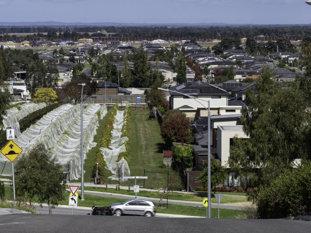 郊区附近图片下载