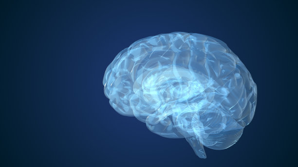 人类大脑的抽象动画图片下载