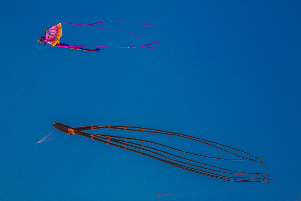 风筝在蓝天的沙滩上飞舞图片下载