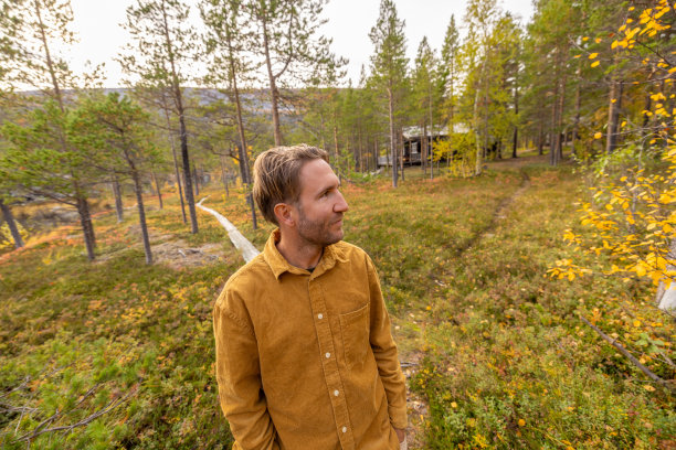 一个人在秋天的松树林中散步图片下载