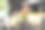 穿着制服的年轻女人微笑着拿着纸袋看着快递员图片下载