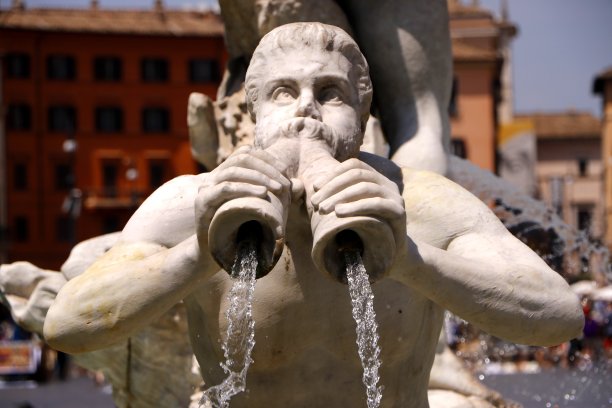 沼泽喷泉图片下载