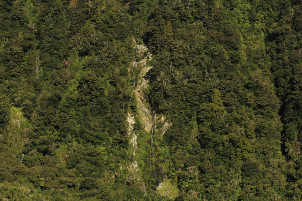 米尔福德的声音图片下载